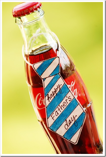  Give your soda bottle a little personality FATHERS DAY DIY SODA BOTTLE COVER UPS!!