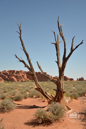 Arches 1