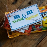 Teacher Gifts Archives - The Idea Room