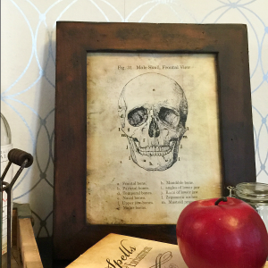 http://www.theidearoom.net/wp-content/uploads/2015/10/Halloween-Skull-Printable-FB-300x300.png