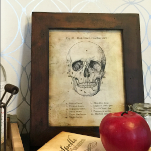 Skull Sign Halloween Printable | The Idea Room | Bloglovin’