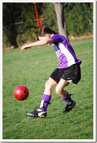 L soccer 2011
