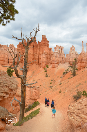 Bryce Canyon 036