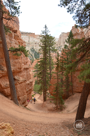 Bryce Canyon 061