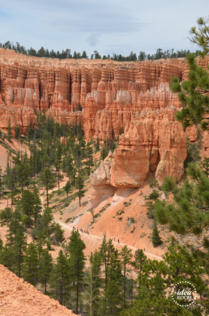 Bryce Canyon 085
