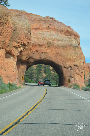 Bryce Canyon 254