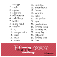 Feb-photoaday-2013.png