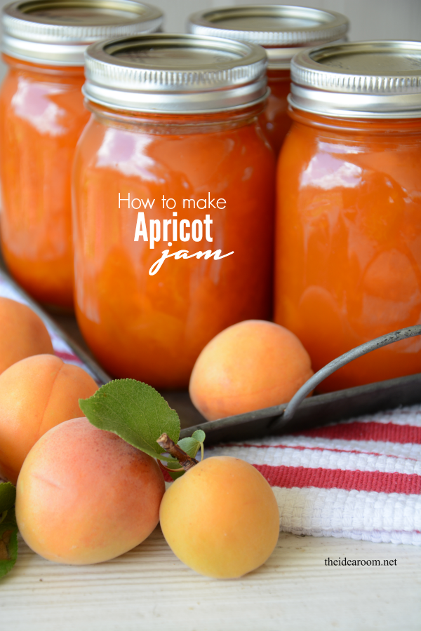 Apricot-Jam 