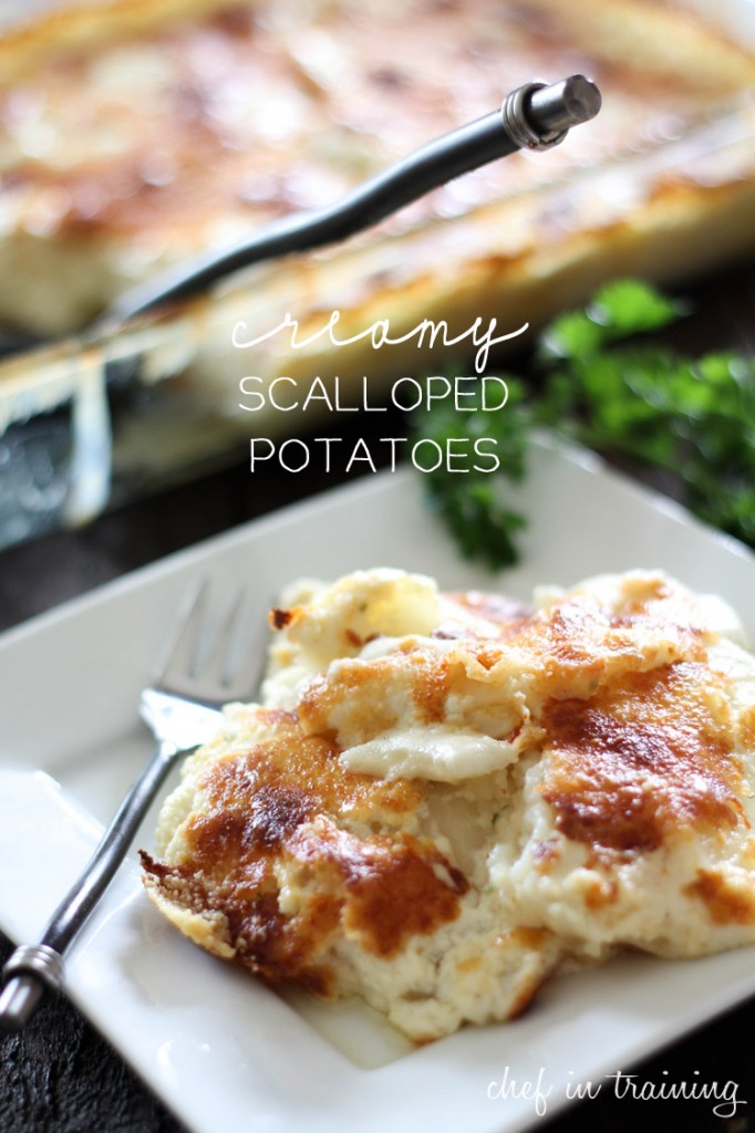 creamy-scalloped-potatoes