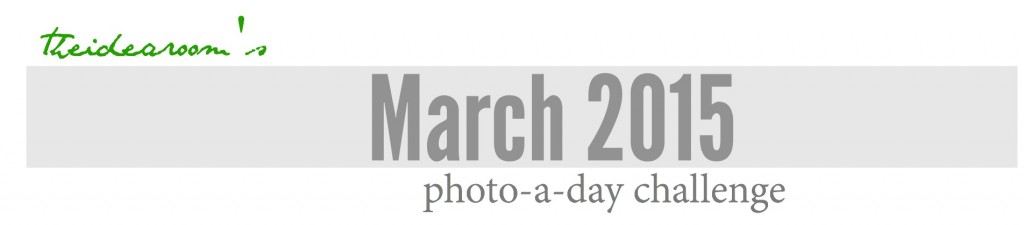 march photo a day cover