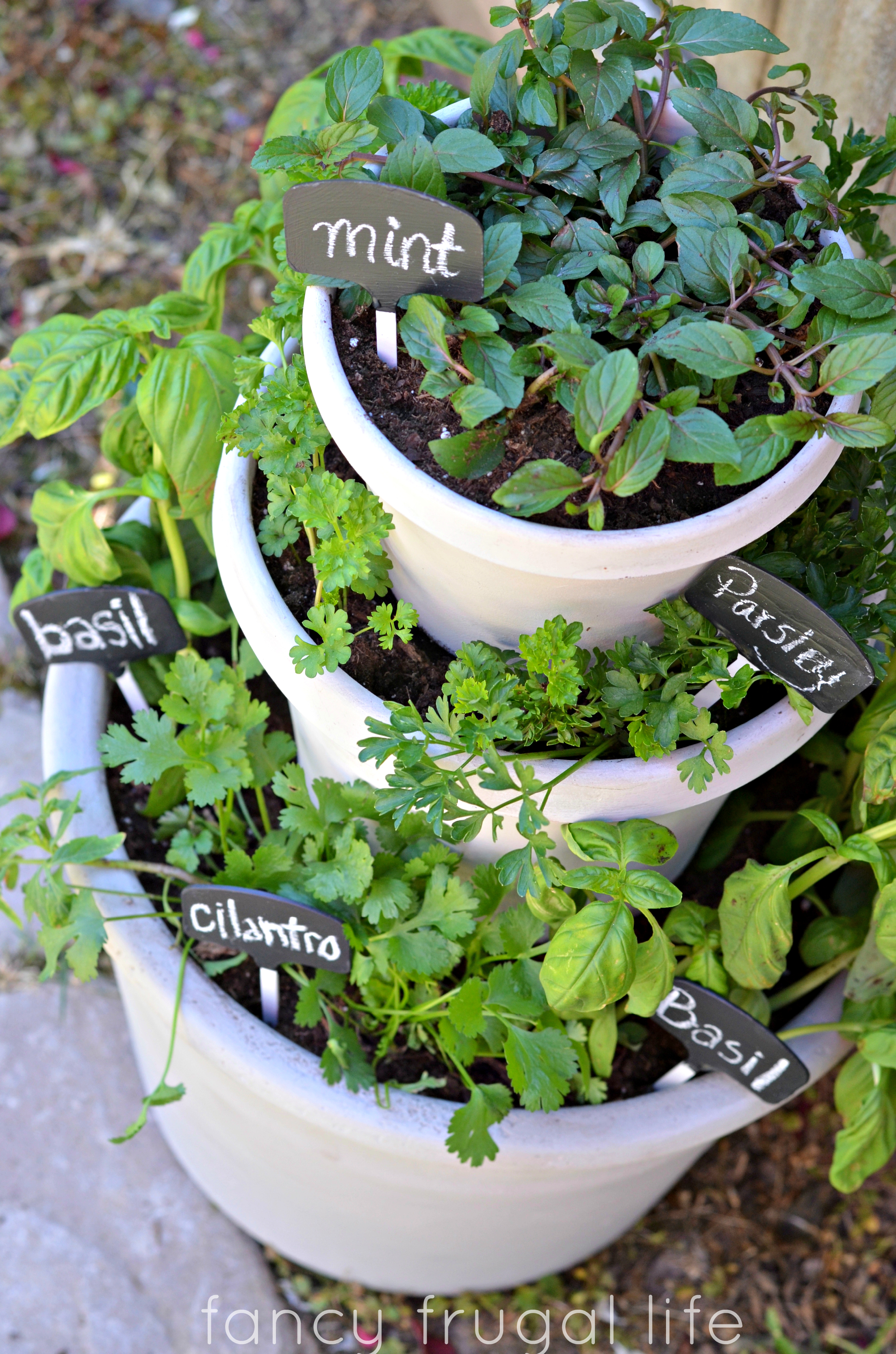 outdoor herb garden ideas - the idea room