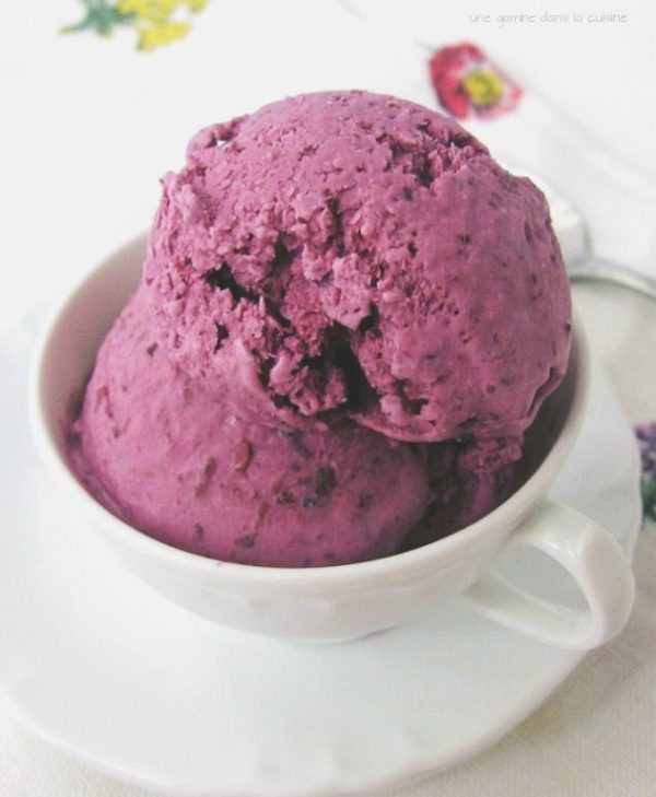 12BlueberryIceCream-600x729.jpg