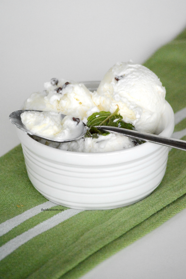 Homemade-Mint-Ice-Cream 4