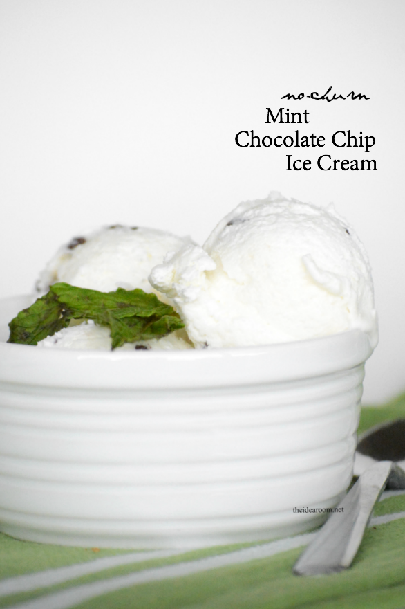 no-churn-mint-chocolate-chip-ice-cream