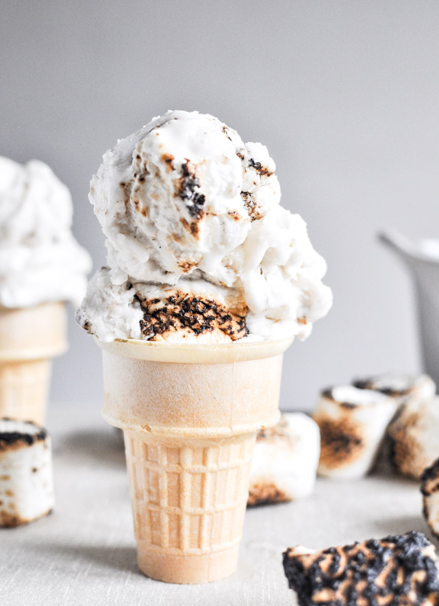 Homemade Ice Cream Recipes The Idea Room