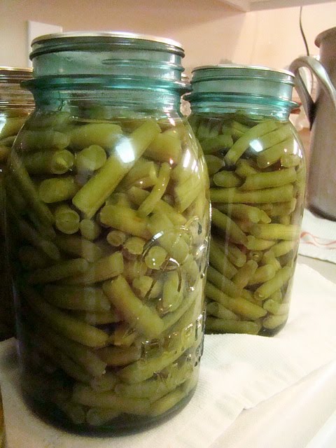 Green Beans 13