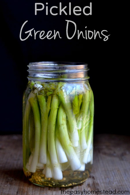 Pickled-Green-Onions-The-Easy-Homestead-.com-Pin