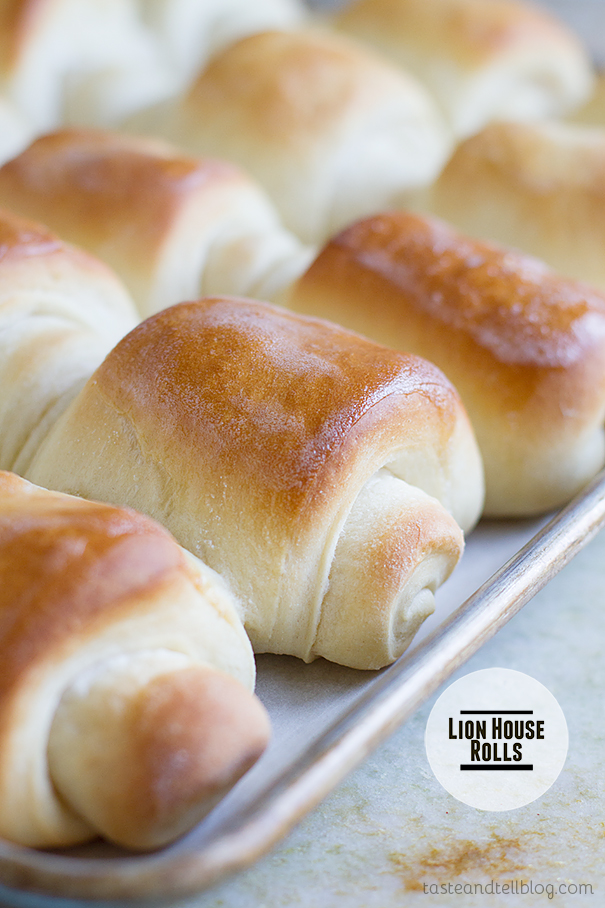 Lion-House-Rolls-recipe-Taste-and-Tell-1