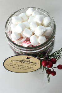 Peppermint Hot Cocoa - The Idea Room
