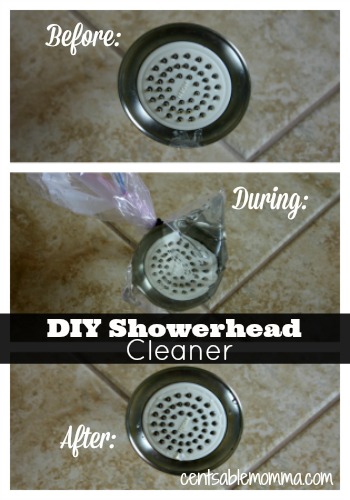 DIY-Showerhead-Cleaner