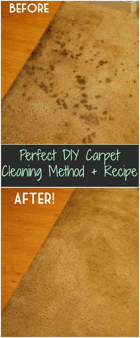 carpet-cleaning-solution (1)