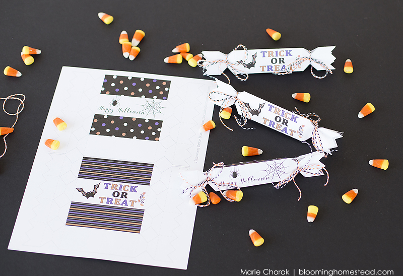 trick-or-treat-favor-boxes-by-blooming-homestead-copy