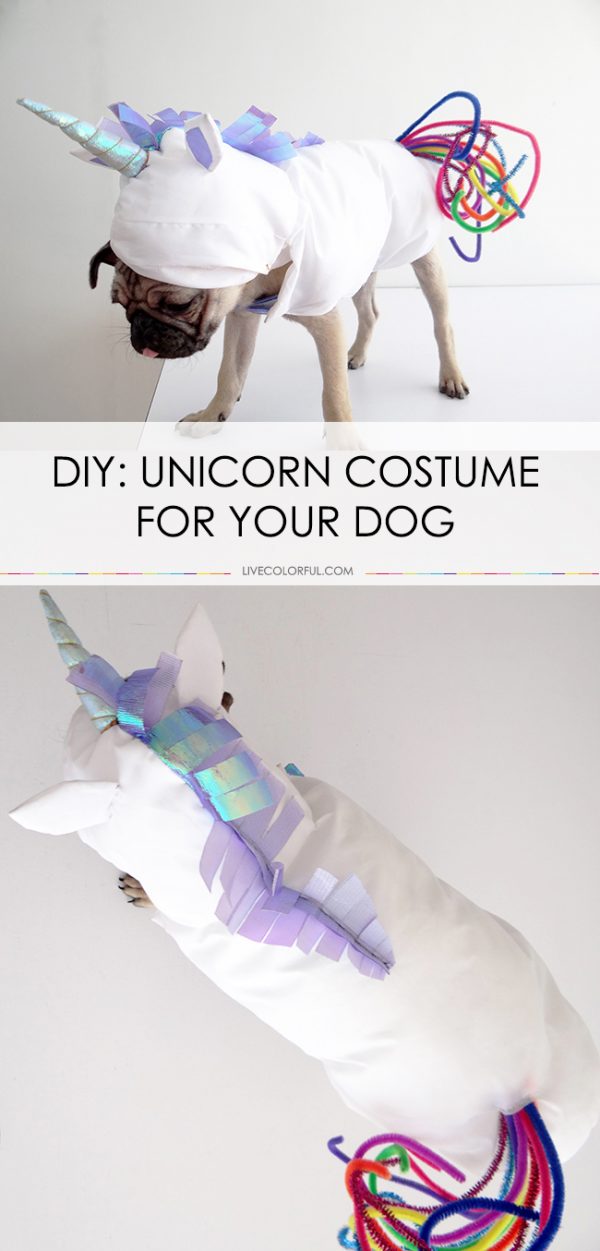 DIY Dog And Cat Costume Ideas The Idea Room diy-dog-and-cat-costume-ideas-the-idea-room