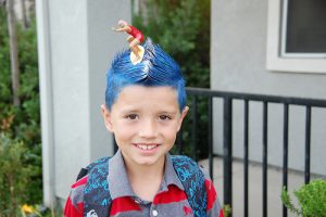 100+ Easy and Unique Crazy Hair Day Ideas - The Idea Room