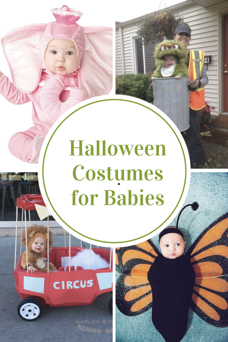 Baby Halloween Costumes The Idea Room Baby Halloween Costumes The Idea Room