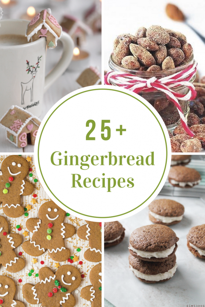 Gingerbread Recipes The Idea Room