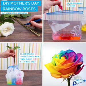 Rainbow Crafts and Treats - The Idea Room