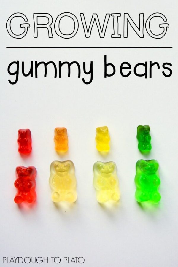 Science Experiments for Kids - The Idea Room