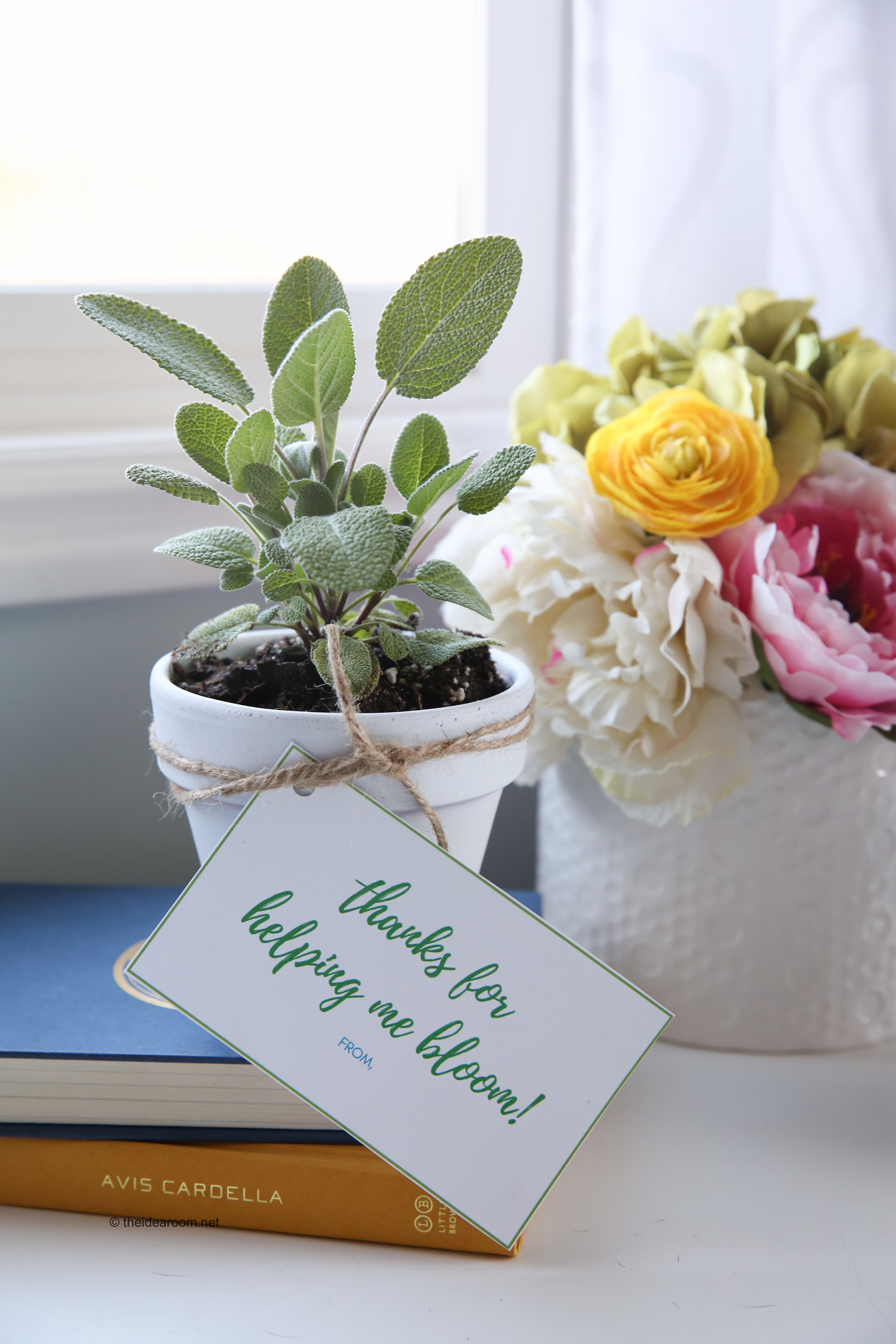 Teacher Appreciation Gifts: Herb Planter - The Idea Room