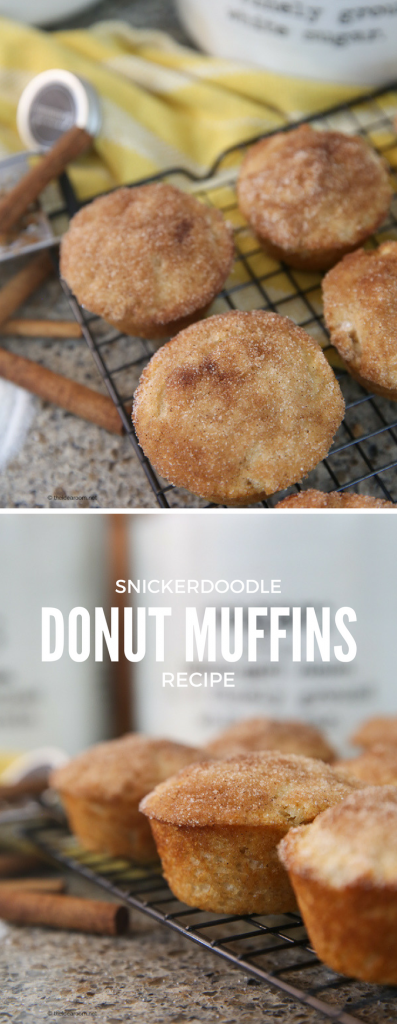 Snickerdoodle-Donut-Muffins-Recipe