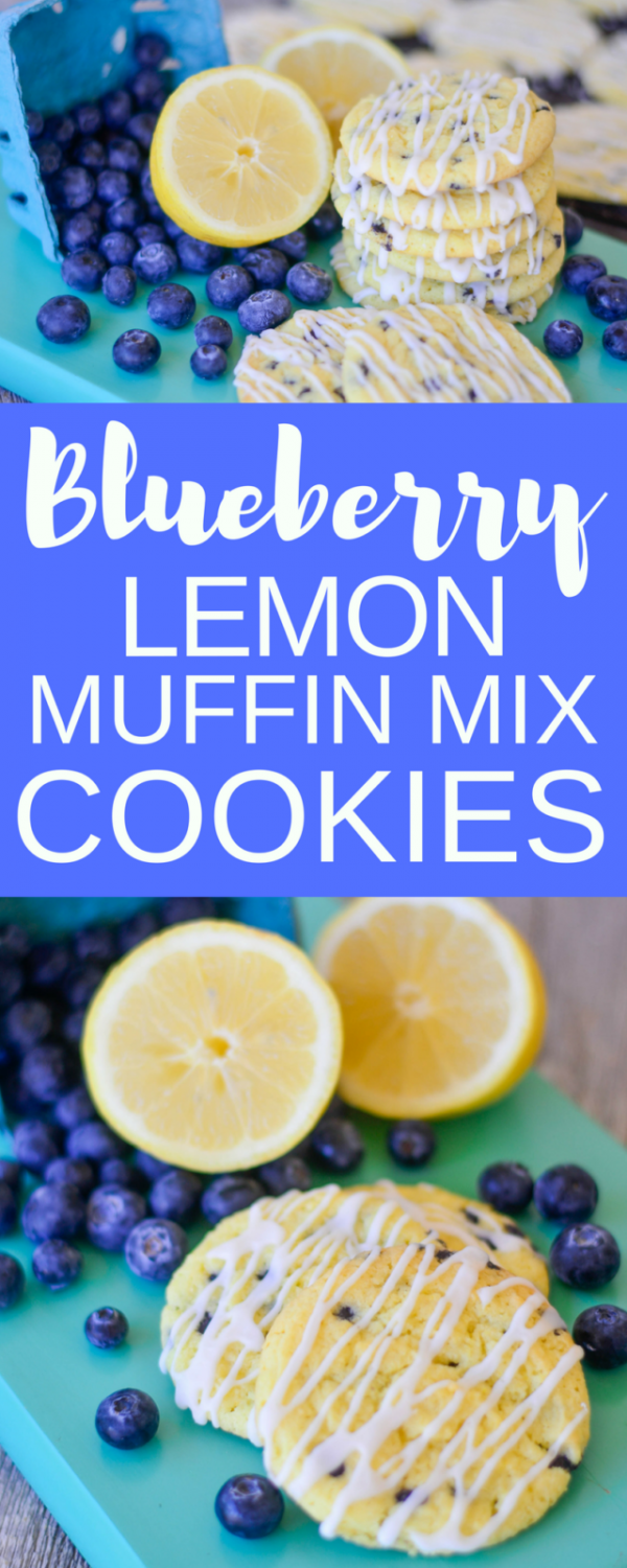 BlueberryLemonMuffinMixCookiesPinkcakeplate640x1600 The Idea Room
