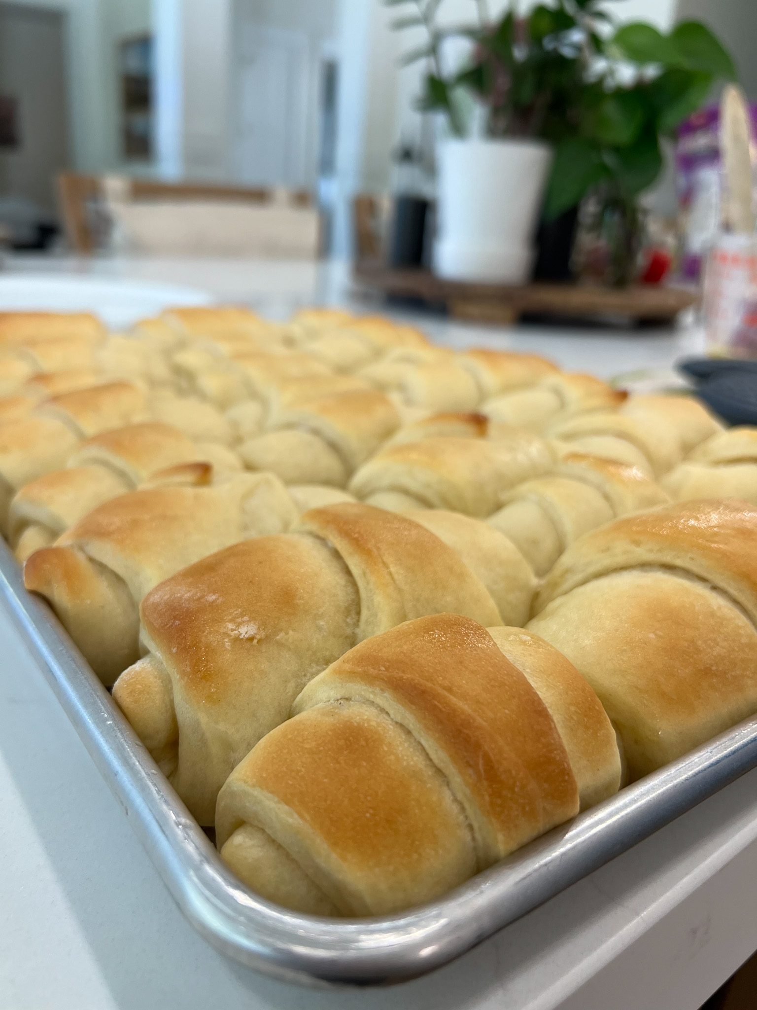 Easy Batter Rolls Recipe: How to Make It