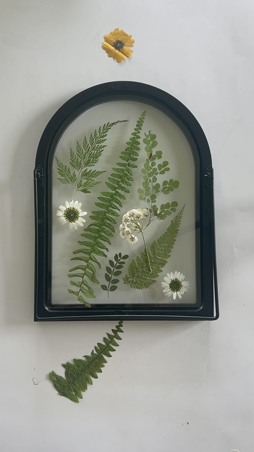 How To Press Flowers for Framed Flowers - The Idea Room